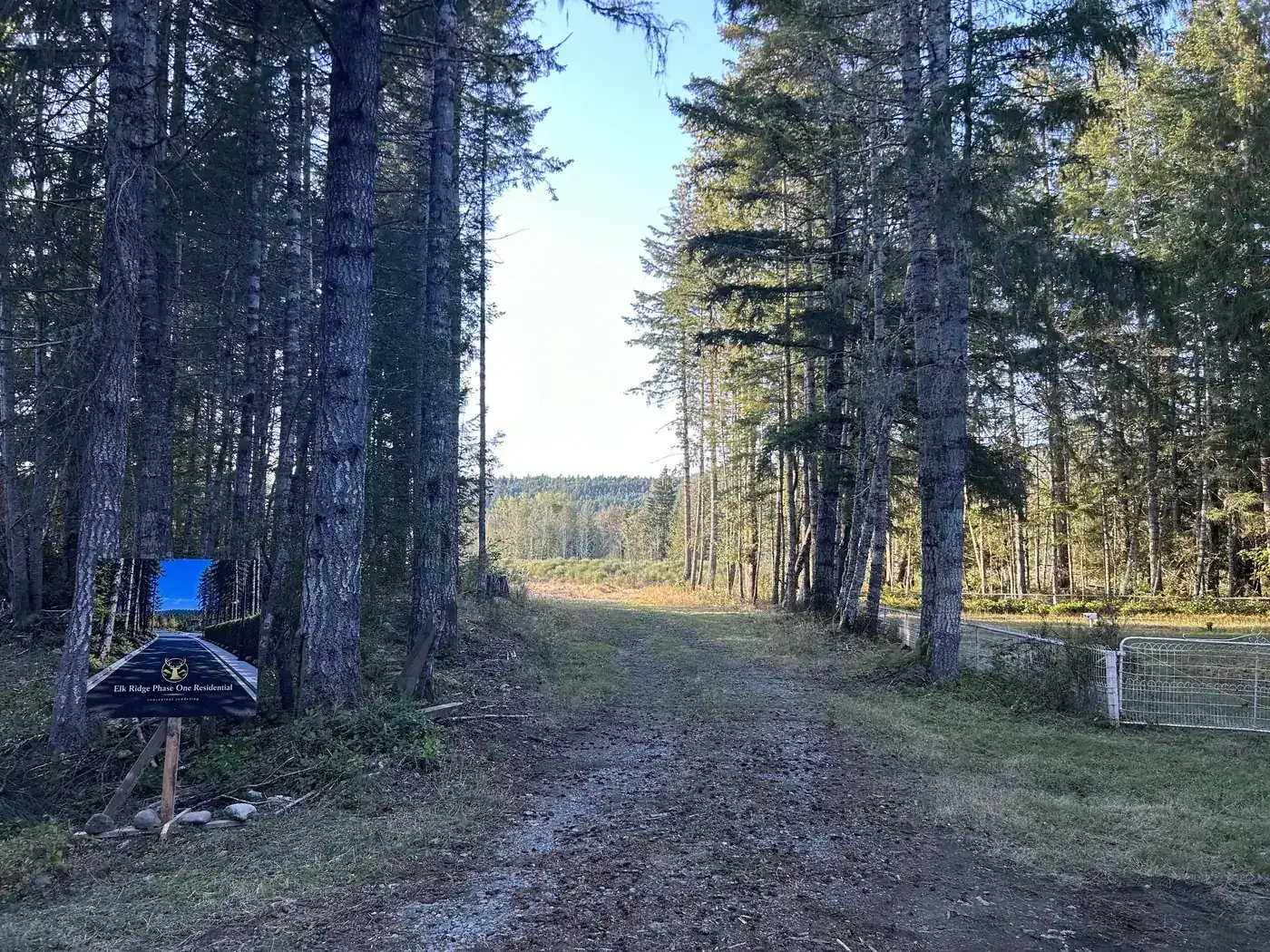 The wooded entrance lane opening onto a sunlit meadow